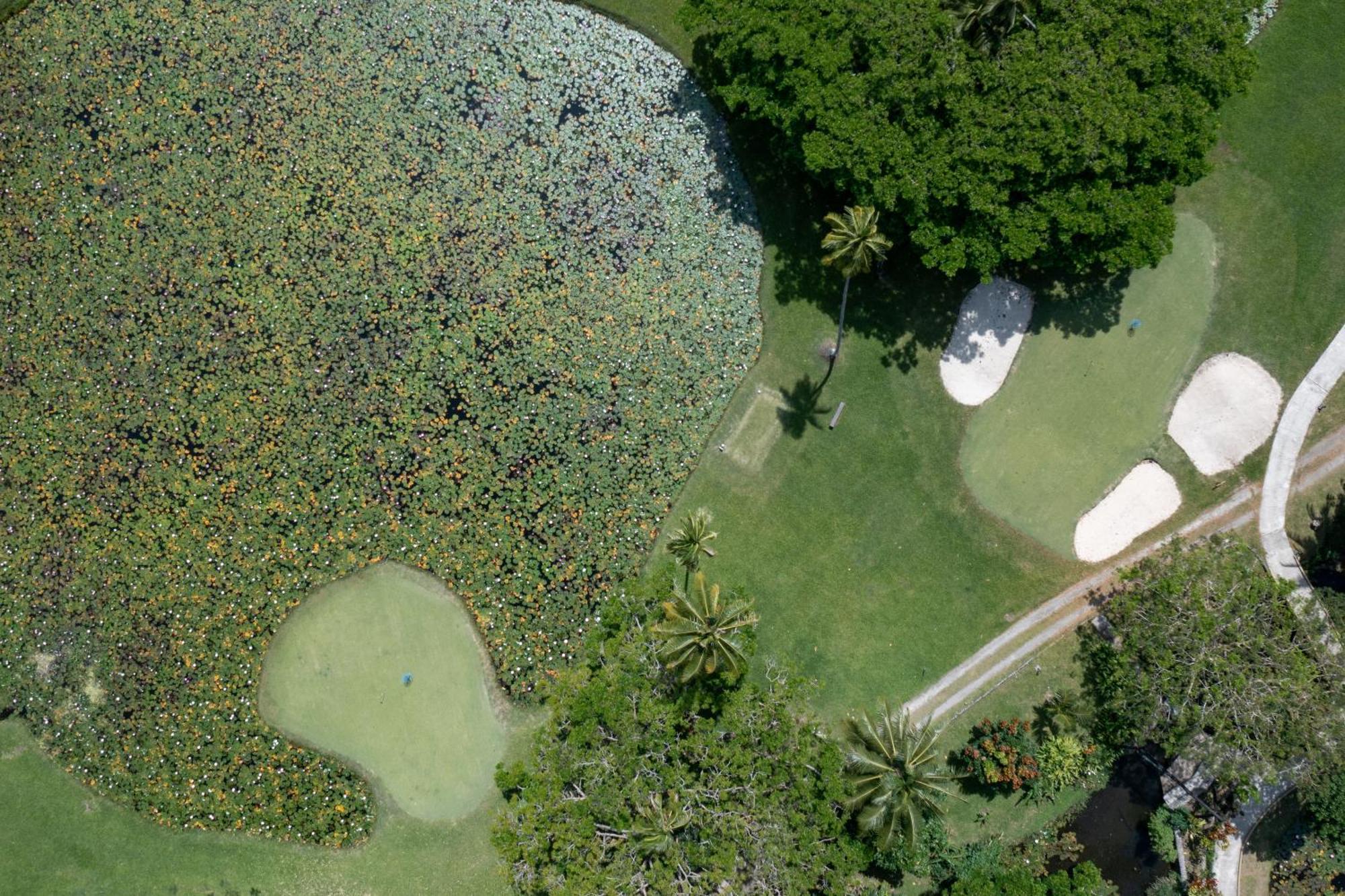 Koro Sun Resort & Rainforest Spa Savusavu Εξωτερικό φωτογραφία